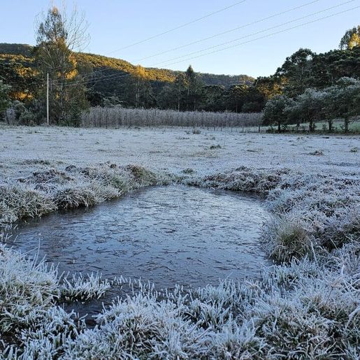 SC tem 47 cidades com temperaturas negativas no segundo dia de onda de frio intenso