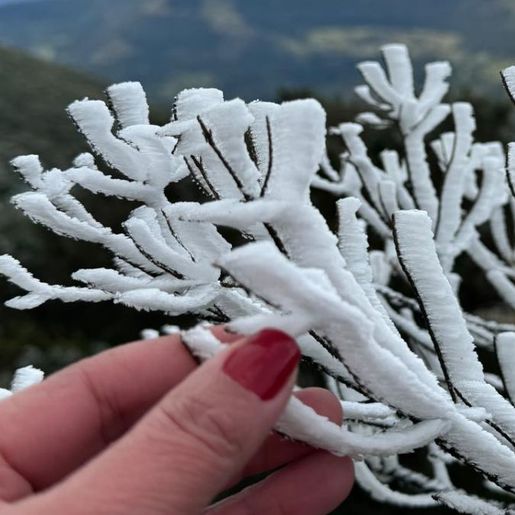 SC amanhece com dezenas de cidades abaixo de zero em meio a onda de frio