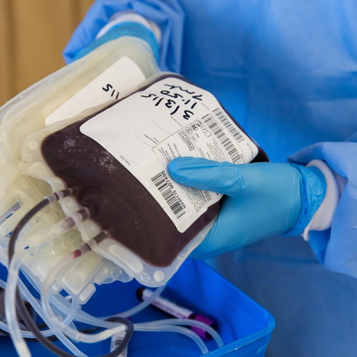 Secretaria de Saúde promove última doação de sangue do ano nesta quinta-feira