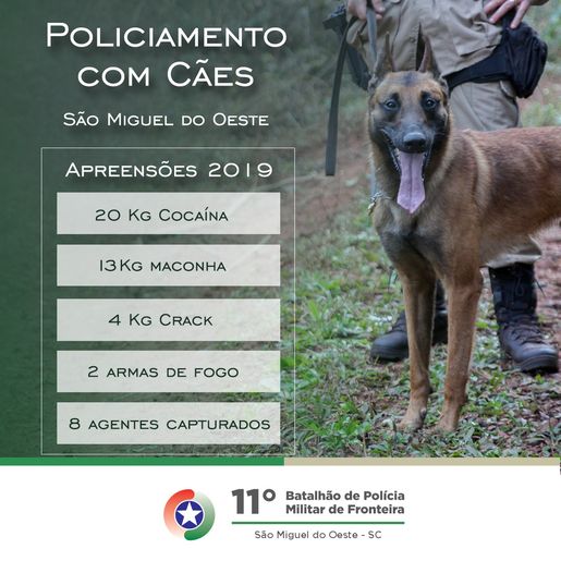 Policiamento com cães resulta na apreensão de quase 40 quilos de drogas em 2019