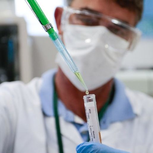 Estado catarinense tem quase 190 pesquisas e projetos de combate ao Covid-19