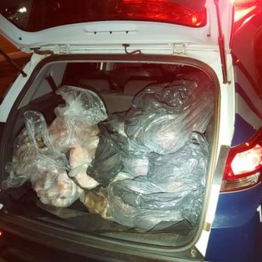 Bandidos arrombam feira e furtam 150 kg em salames e carnes em Chapecó