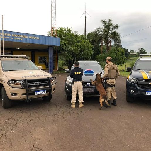 PRF e PM apreendem camioneta de luxo com 17kg de cloridrato de cocaína