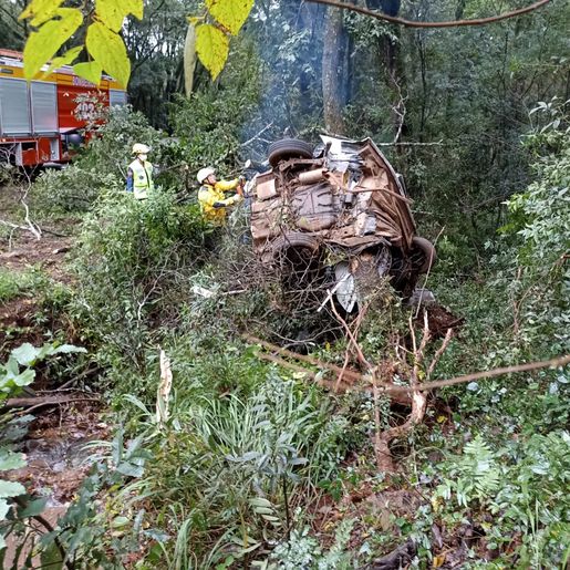 Homem morre em colisão contra árvore às margens da BR 282