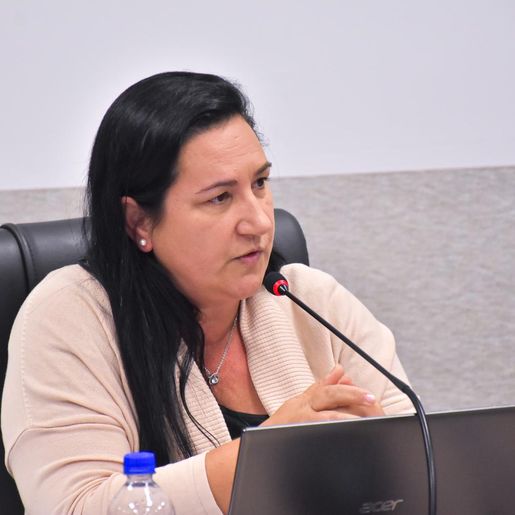 Câmara de São Miguel do Oeste aprova projeto que garante compra de alimentos da agricultura familiar