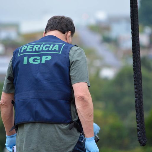 Moradora encontra feto no quintal de casa em cidade catarinense