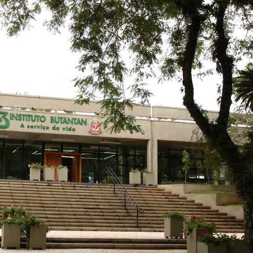 Vacina contra a dengue desenvolvida pelo Butantan chega a 79,6% de eficácia