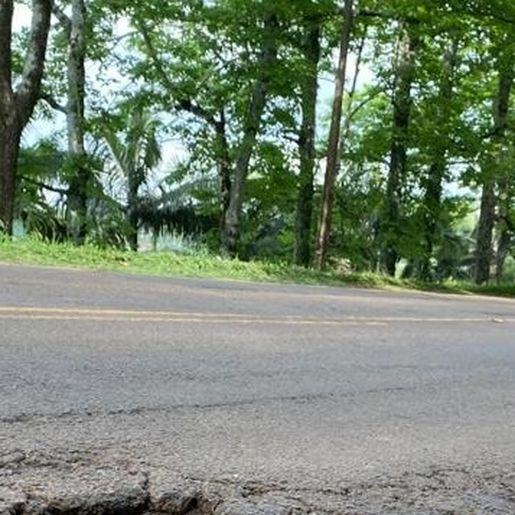 Homem é flagrado pegando carona em cima de container