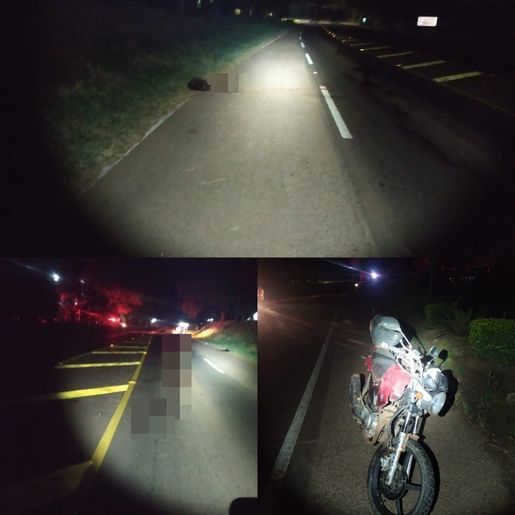 Motociclista sofre diversas escoriações ao atropelar cão na SC 163, em São João do Oeste