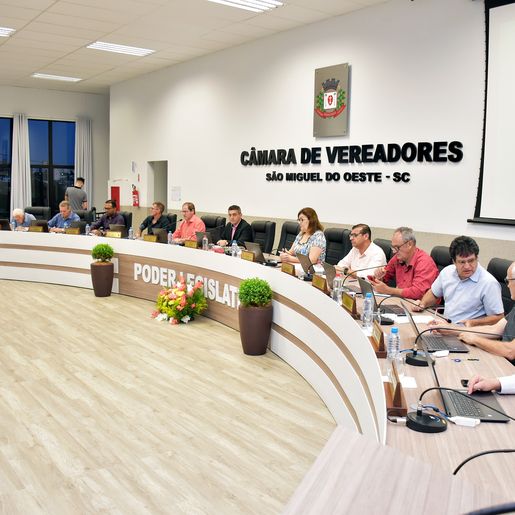 Câmara encerra expediente externo, suspende sessões e institui teletrabalho