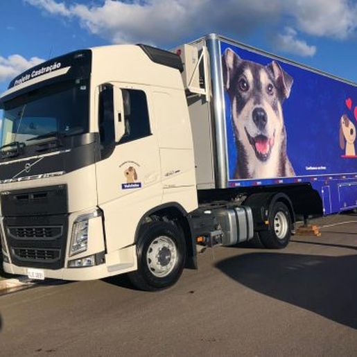 Mutirão de castração de animais será realizado em São João do Oeste