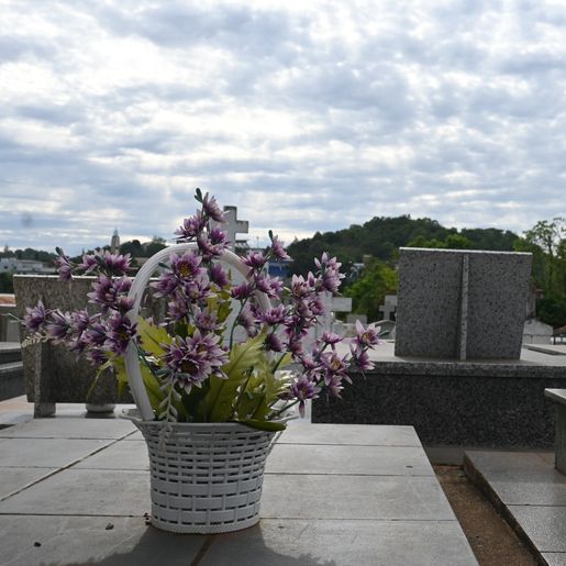 Campanha em Descanso pede atenção com a dengue durante visitas aos cemitérios