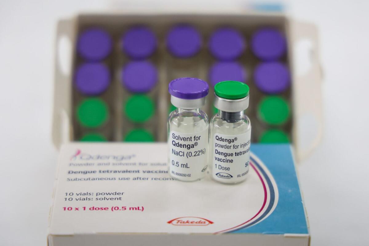 Vacinação contra dengue segue disponível para pessoas entre 10 e 14 anos em SC