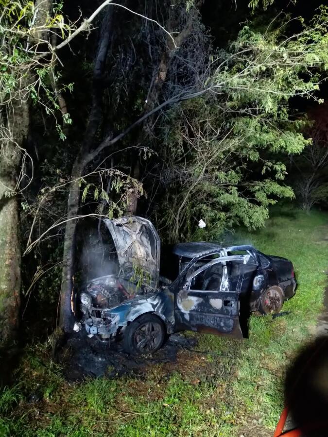 Motorista perde controle da direção, bate contra árvore e carro pega fogo na SC-157