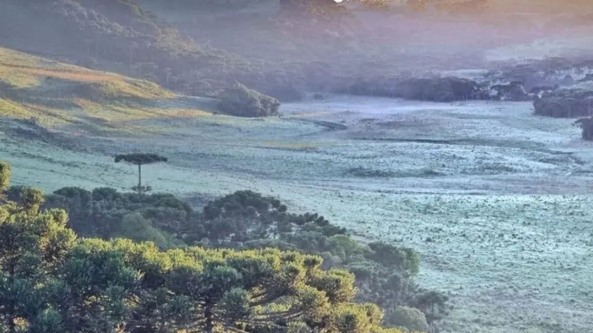 Massa de ar polar derruba temperaturas e pode provocar geada em SC