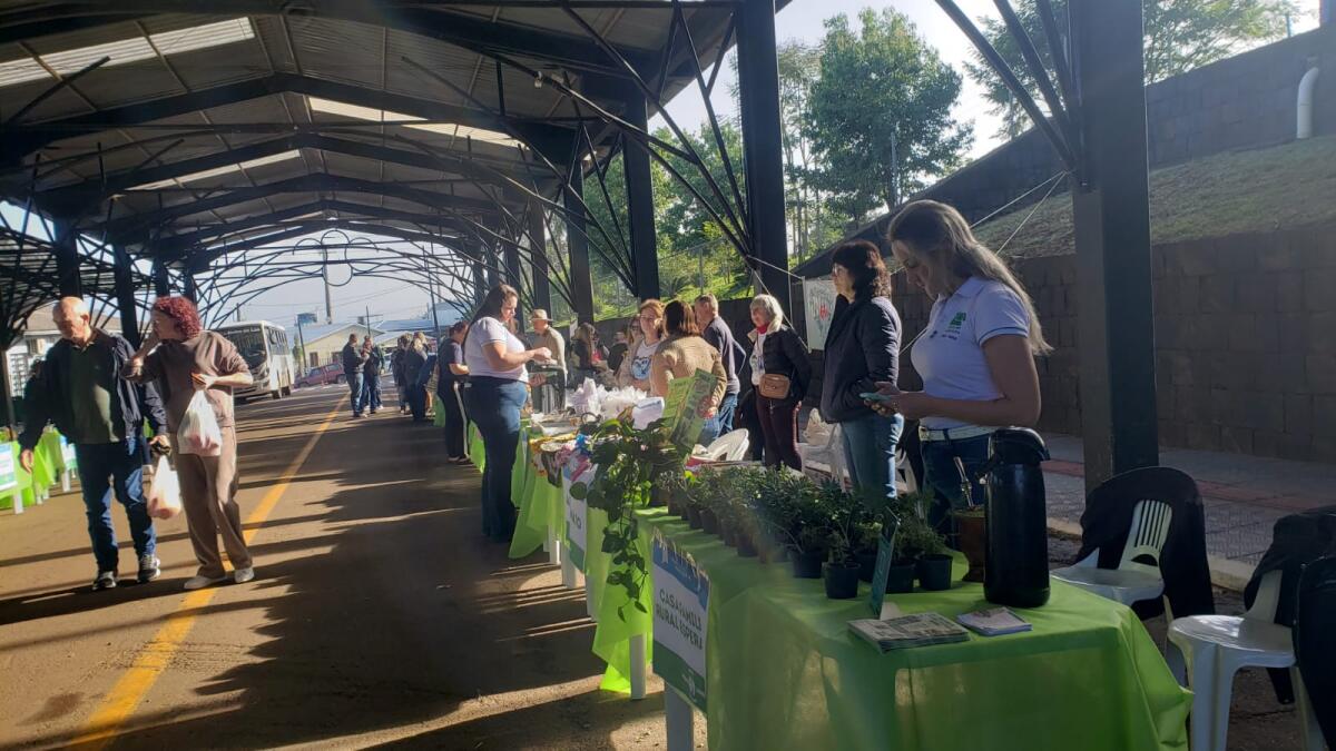 Dia do Colono e do Motorista é comemorado com Feira e Benção de Carros em Iporã do Oeste