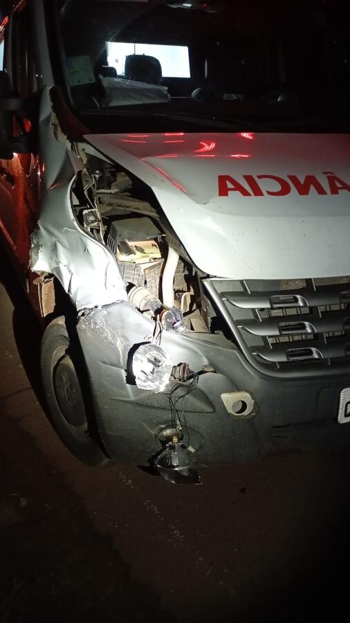 Motorista atropela bovino na SC-159, no acesso a São Bernardino
