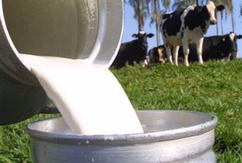 Melhora do preço acende alerta para risco de importações, diz Epagri