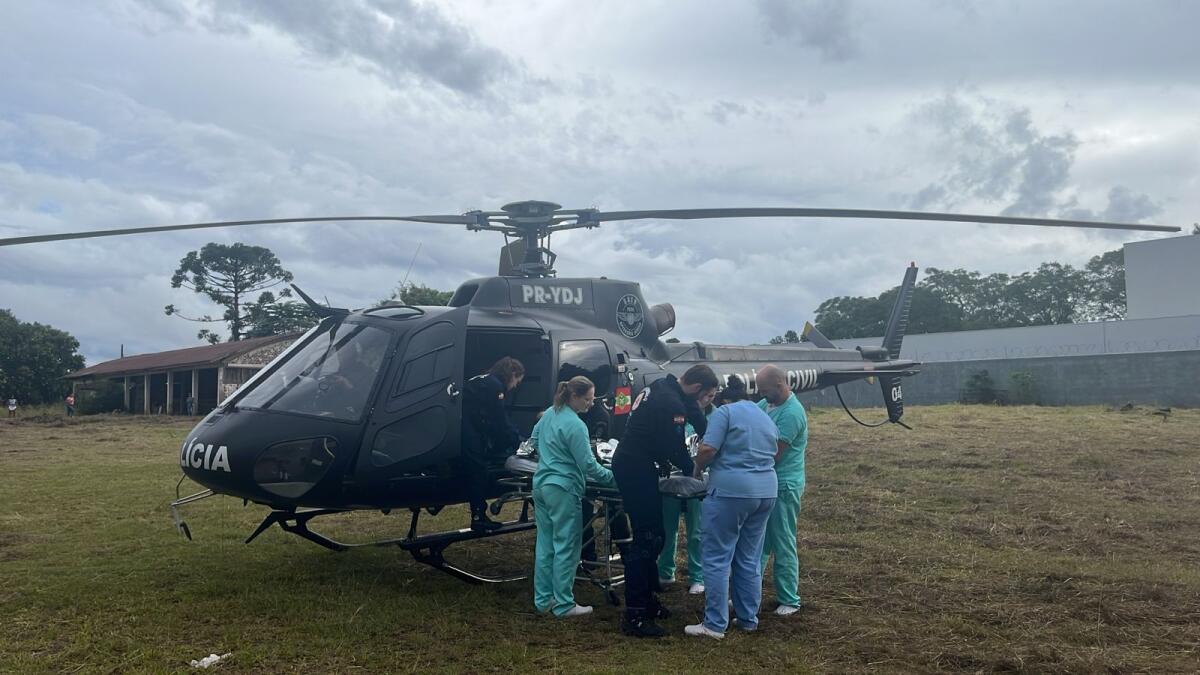 Homem fica preso a 10 metros de altura após galho cair sobre perna em SJCedro