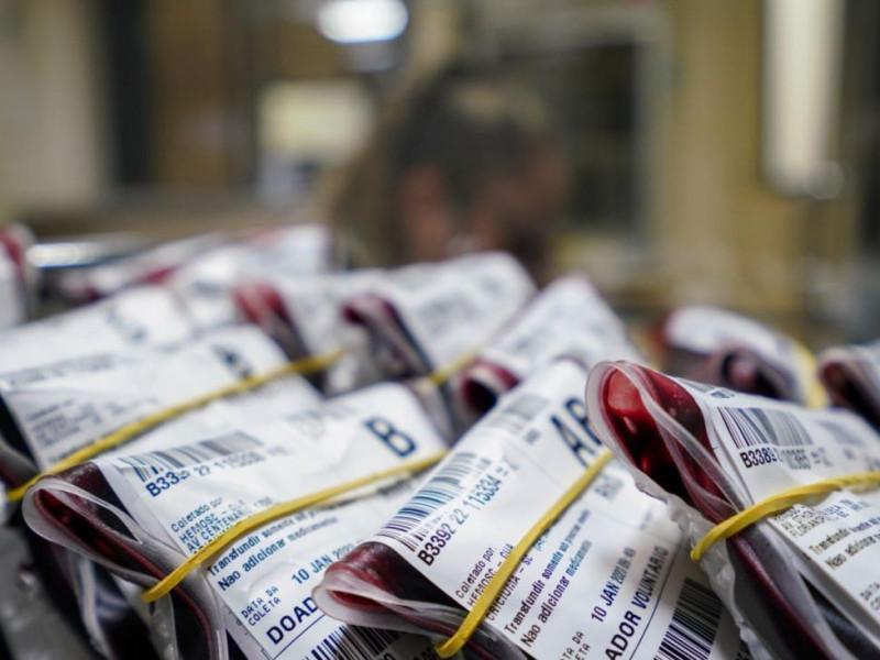 SC realiza transporte inédito de sangue raro em avião comercial para paciente de MG