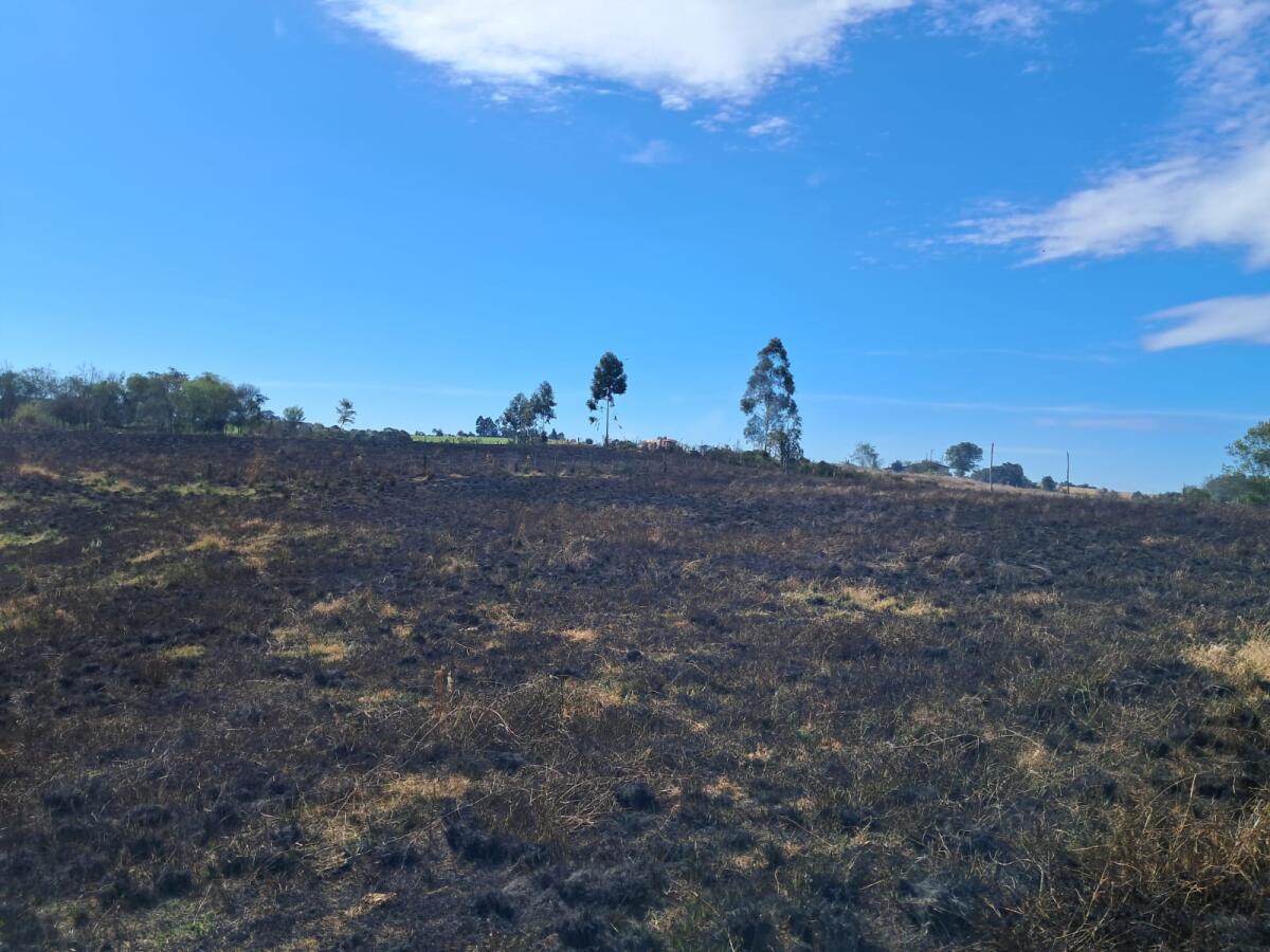 Bombeiros combatem incêndio em vegetação no interior de Campo Erê
