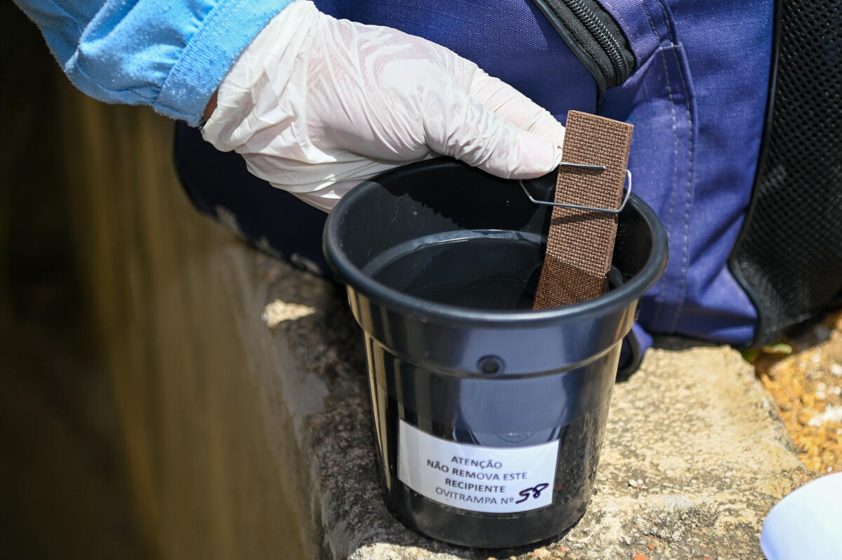 São Miguel do Oeste tem 163 armadilhas contra o Aedes aegypti