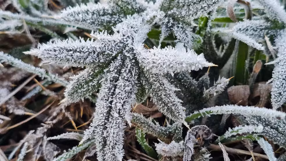 Com -6,7°C, SC tem amanhecer mais frio do ano