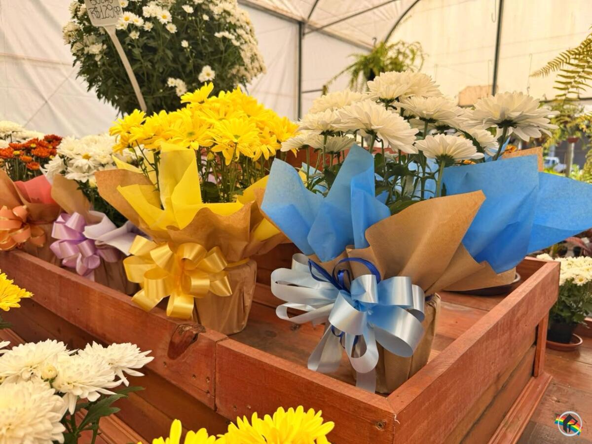 Floriculturas intensificam vendas para Finados em São Miguel do Oeste