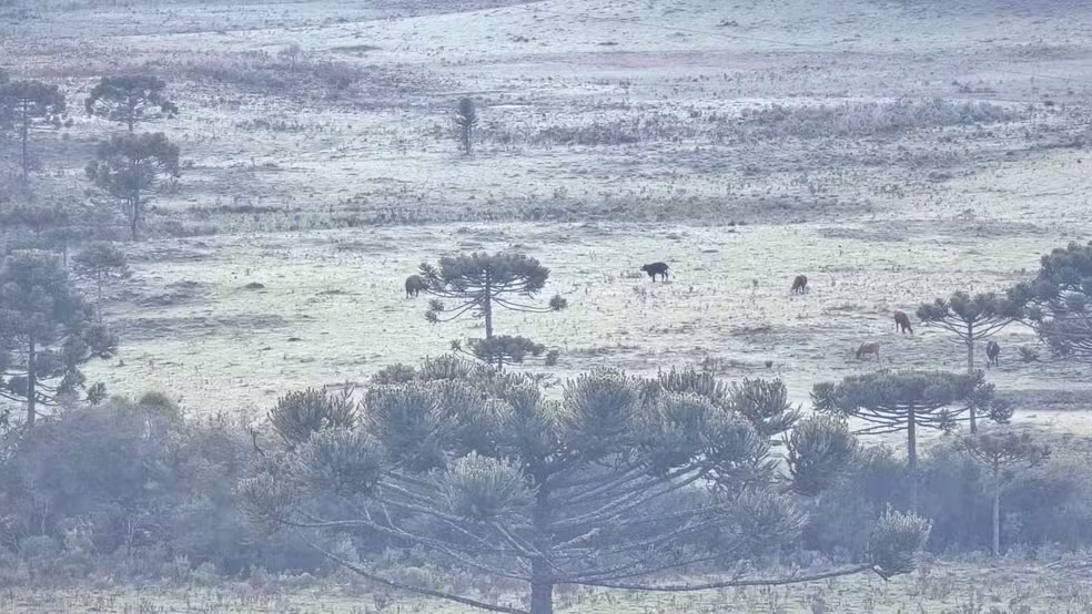 Serra catarinense registra temperatura de -2°C e geada em plena primavera