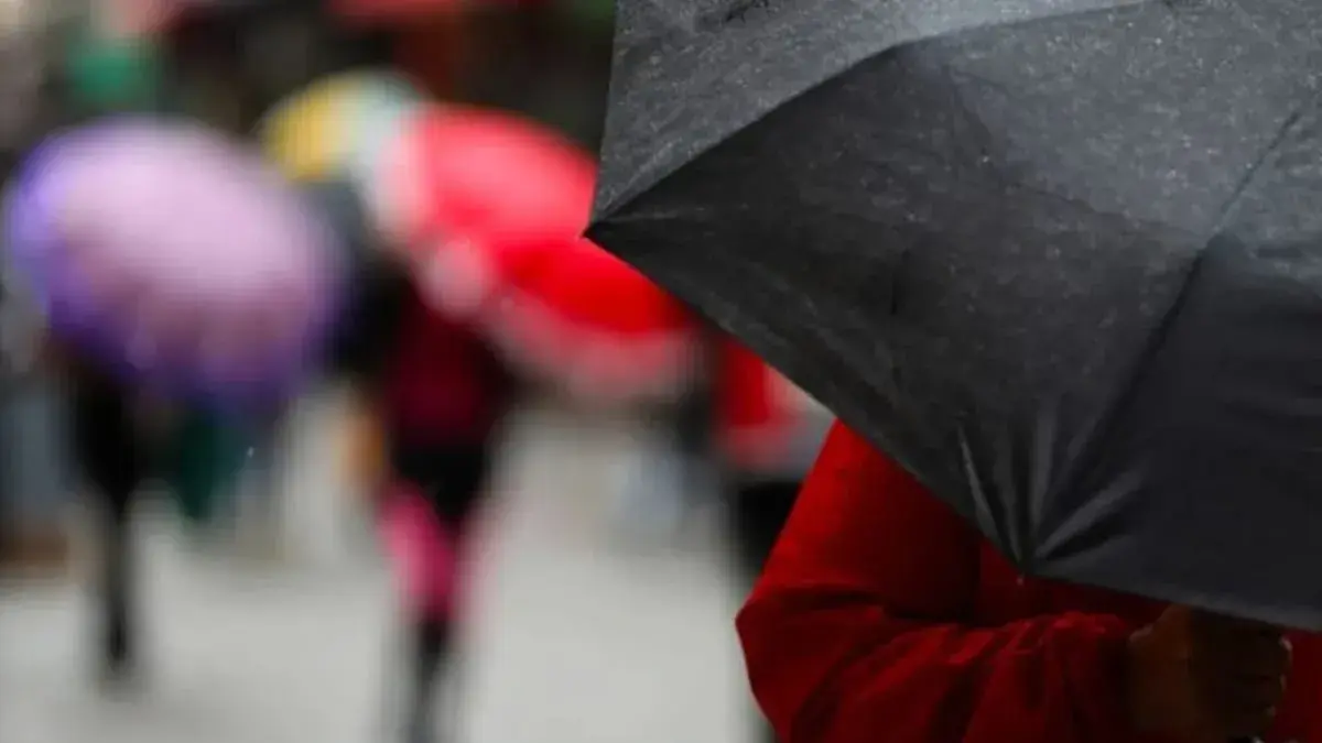 El Niño pode ser um dos mais intensos das últimas décadas e preocupa Santa Catarina