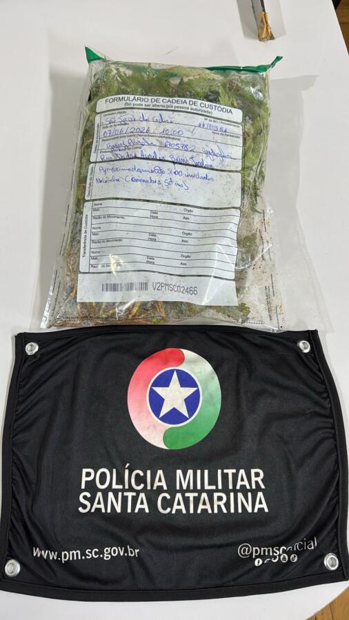 Briga de casal termina com apreensão de pés de maconha em SJCedro