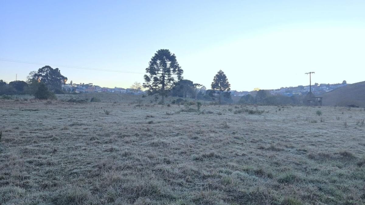 Defesa Civil alerta para geada e temperaturas negativas em Santa Catarina