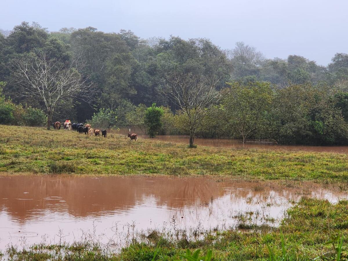 Nível do Rio Uruguai fica próximo de atingir 7 metros em Itapiranga