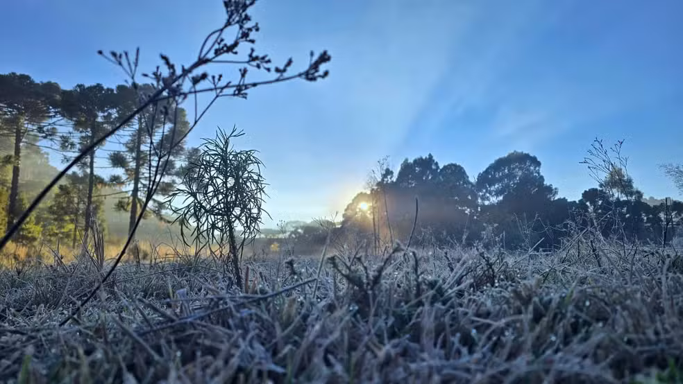 Frio abaixo de 0°C congela a paisagem e forma geada na Serra de SC