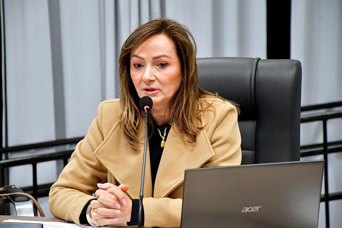 Vereadora cobra informações sobre suposto uso de máquinas públicas em propriedade particular