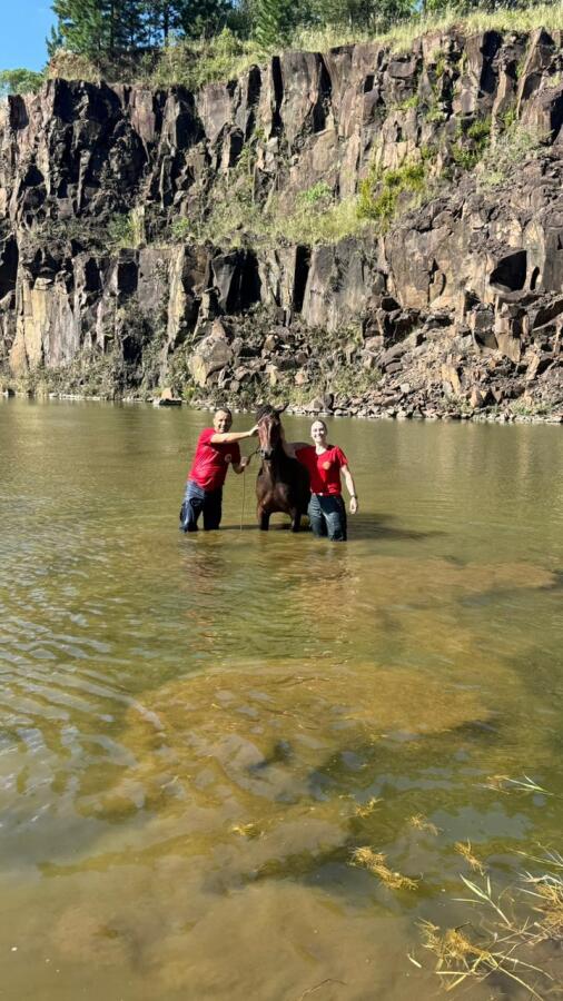 Cavalo é resgatado após ficar preso em açude em São Lourenço do Oeste