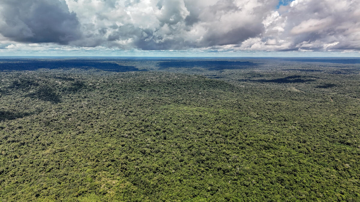 Mais de 30 grupos criminosos disputam o controle da Amazônia, aponta estudo