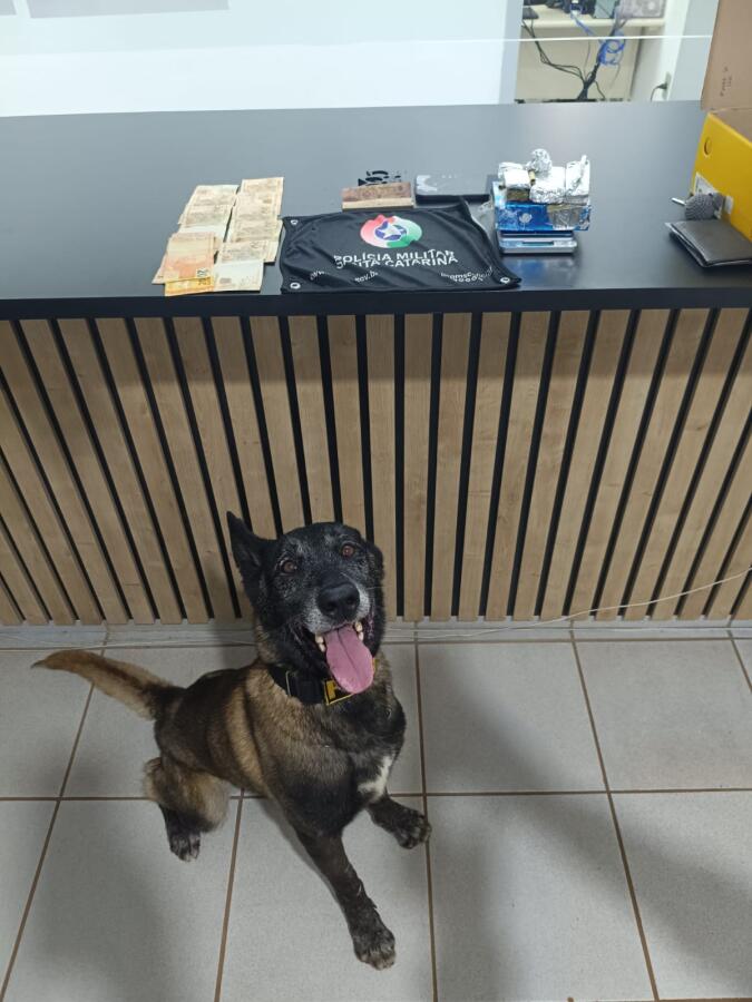 Homem é preso por tráfico de drogas com mais de meio quilo de maconha em São José do Cedro