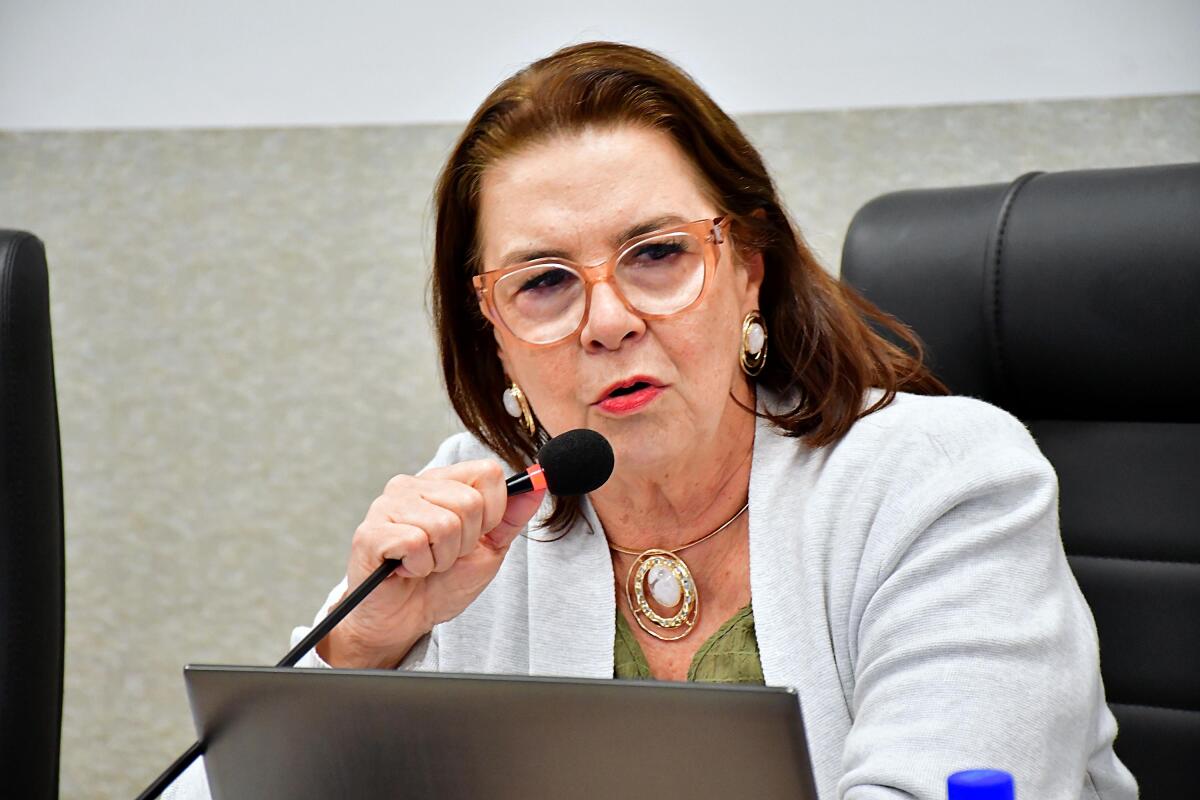 PSD lamenta dispersão de votos para candidatos de outras regiões em SMO