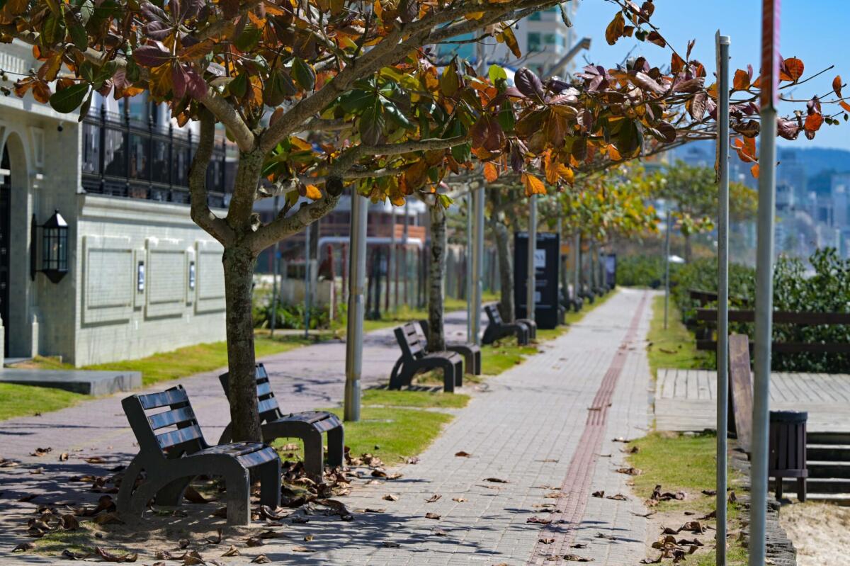 Outono começa nesta sexta-feira com previsão de calor acima da média em SC