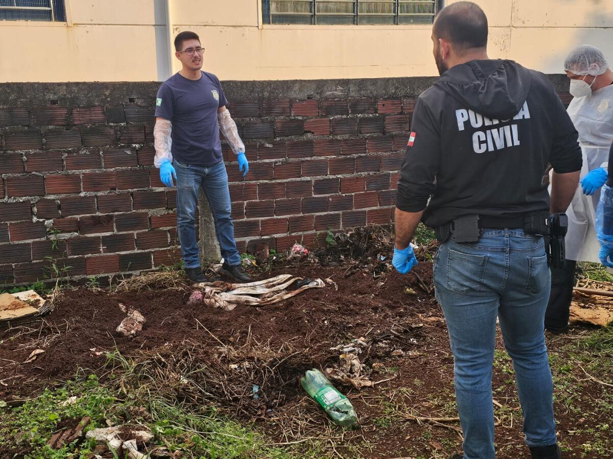 Inquilino confessa participação na morte de idoso encontrado enterrado em Pinhalzinho