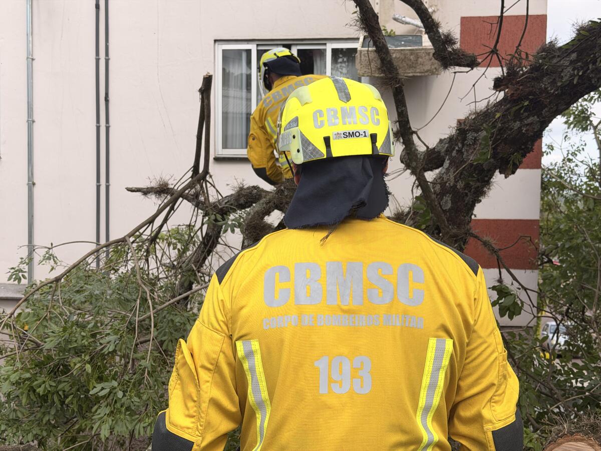 Árvore cai sobre residência durante poda em São Miguel do Oeste