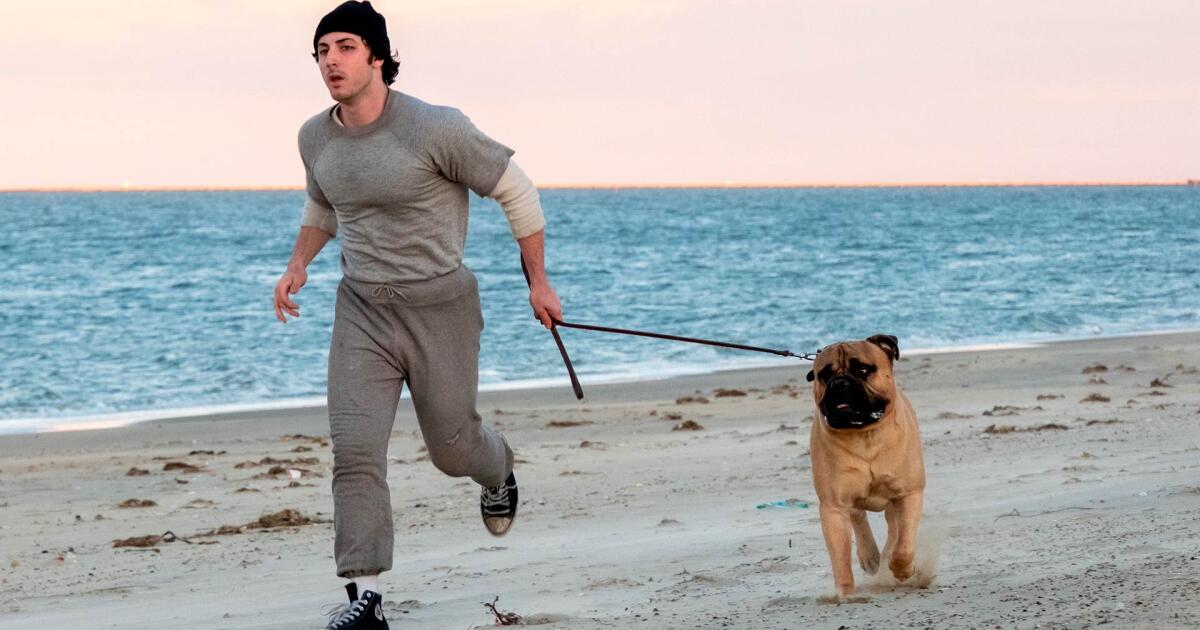 Filme sobre os bastidores de "Rocky" ganha trailer e estreia em novembro