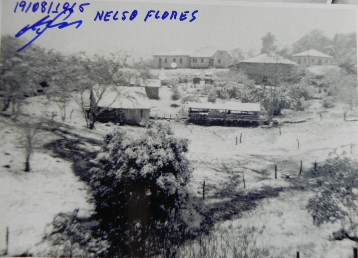 Morador de Iporã do Oeste relembra impactos da grande nevasca de 1965