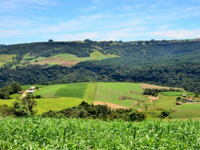 Produtores devem estar atentos a mudança na declaração do ITR em 2026
