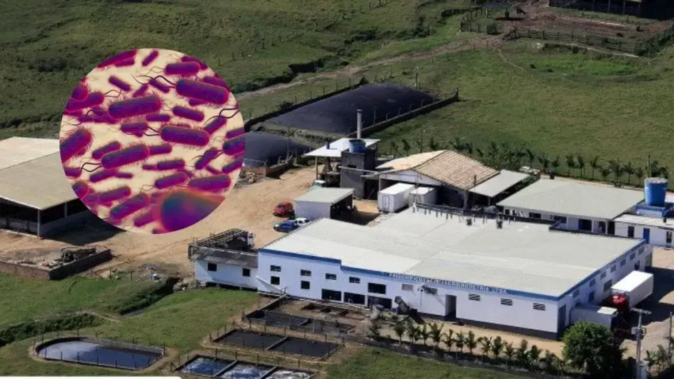 Lote de linguiça é recolhido após alerta sanitário para bactéria que pode causar infecção grave