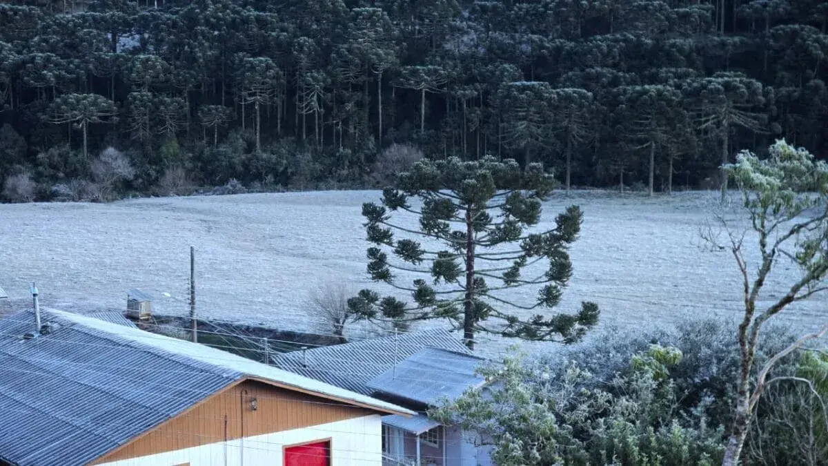 Frio de -9,1°C congela a paisagem na região mais fria do Brasil em dia de inverno rigoroso