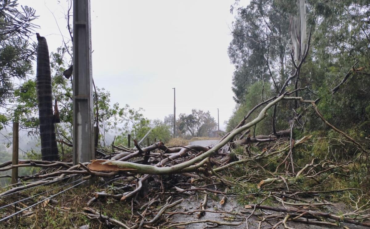 Três municípios de SC decretam situação de emergência após temporais