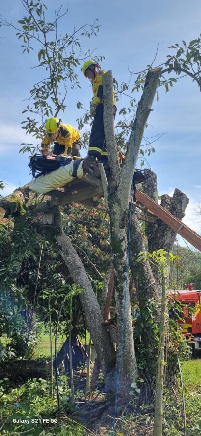 Homem fica ferido após ser atingido por galho em Iporã do Oeste