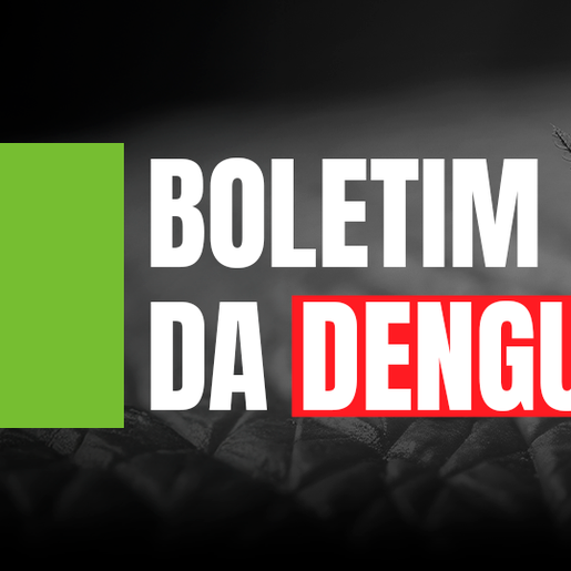 SC tem mais de 45 mil focos de dengue registrados em 258 municípios